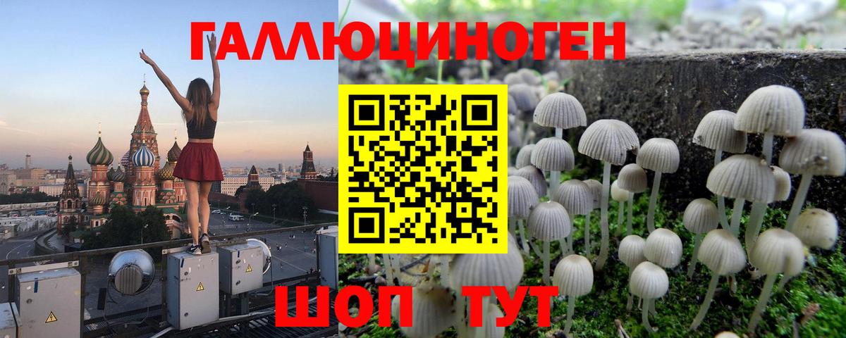 Галлюциногенные грибы Magic Shrooms Воронеж