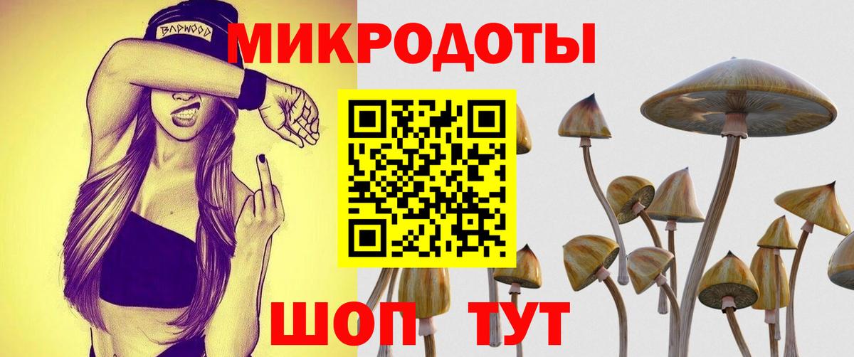 Галлюциногенные грибы мицелий  Вход с VPN  Галлюциногенные грибы GOLDEN TEACHER  Воронеж 